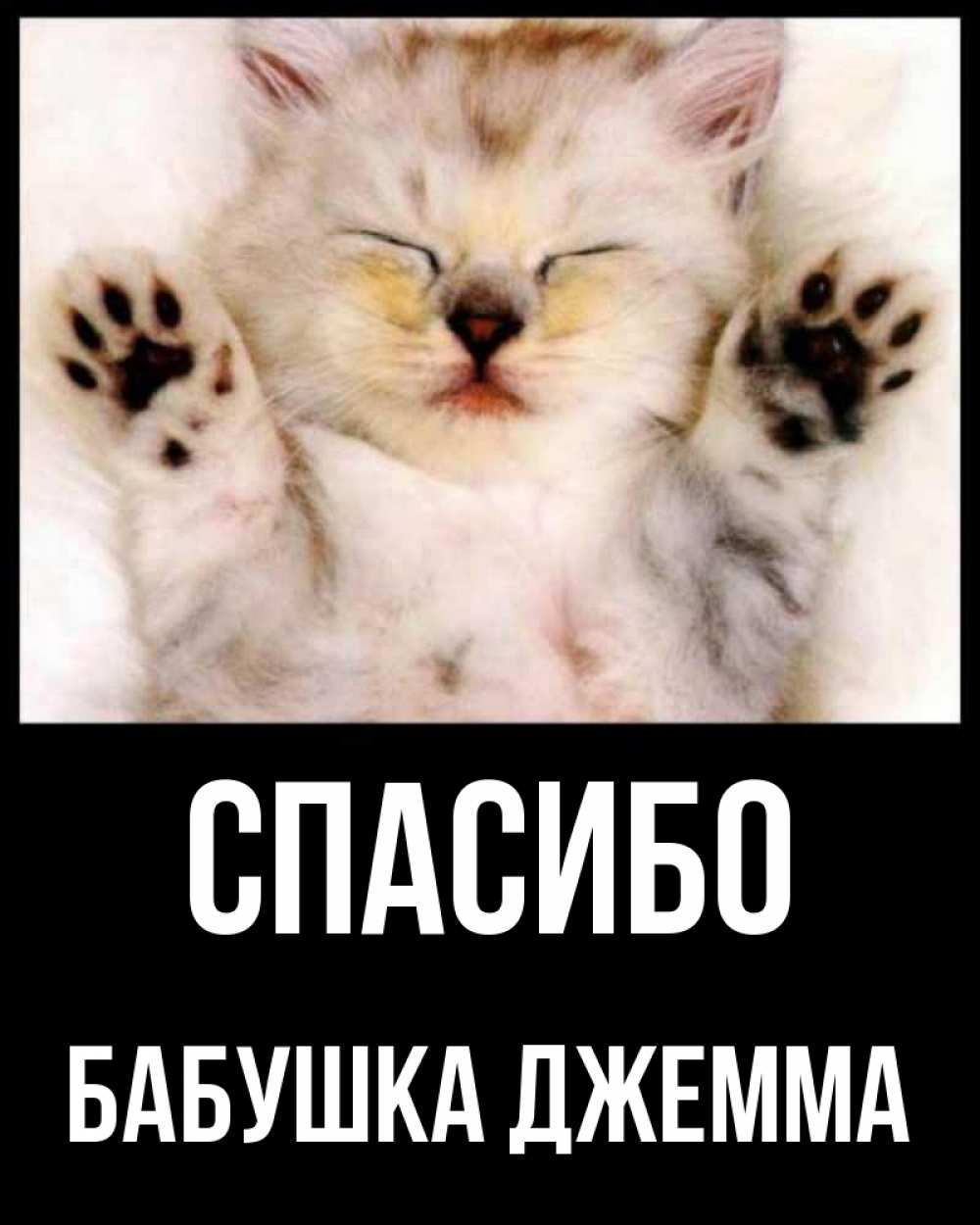 Открытка на каждый день с именем, Бабушка-Джемма Спасибо маленький котенок Прикольная открытка с пожеланием онлайн скачать бесплатно 