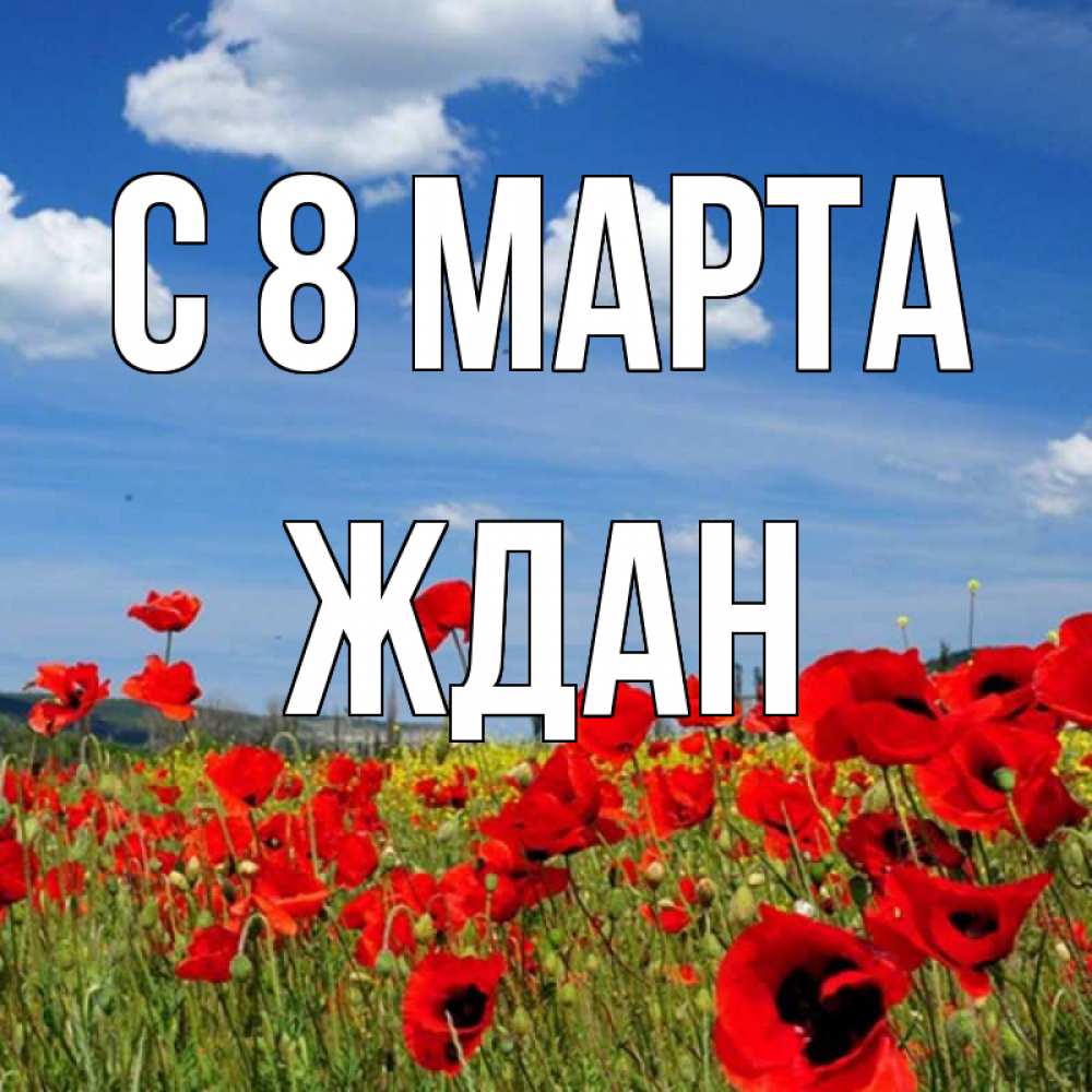 Открытка на каждый день с именем, Ждан С 8 марта международный женский день 1 Прикольная открытка с пожеланием онлайн скачать бесплатно 
