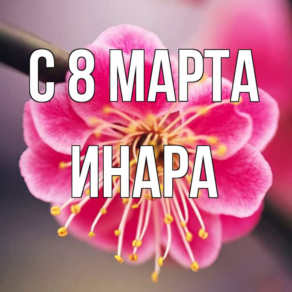 Открытка на каждый день с именем, Инара С 8 МАРТА цветы Прикольная открытка с пожеланием онлайн скачать бесплатно 