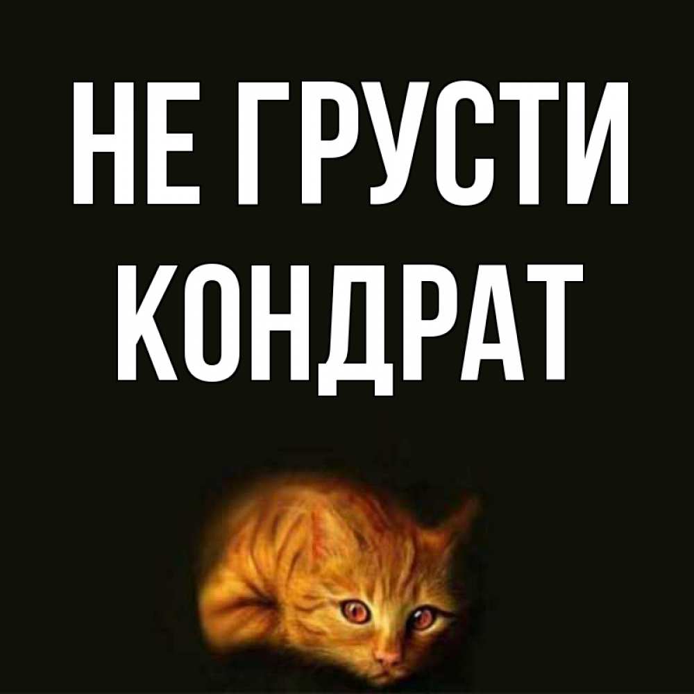 Открытка на каждый день с именем, Кондрат Не грусти лежащий кот в темноте Прикольная открытка с пожеланием онлайн скачать бесплатно 