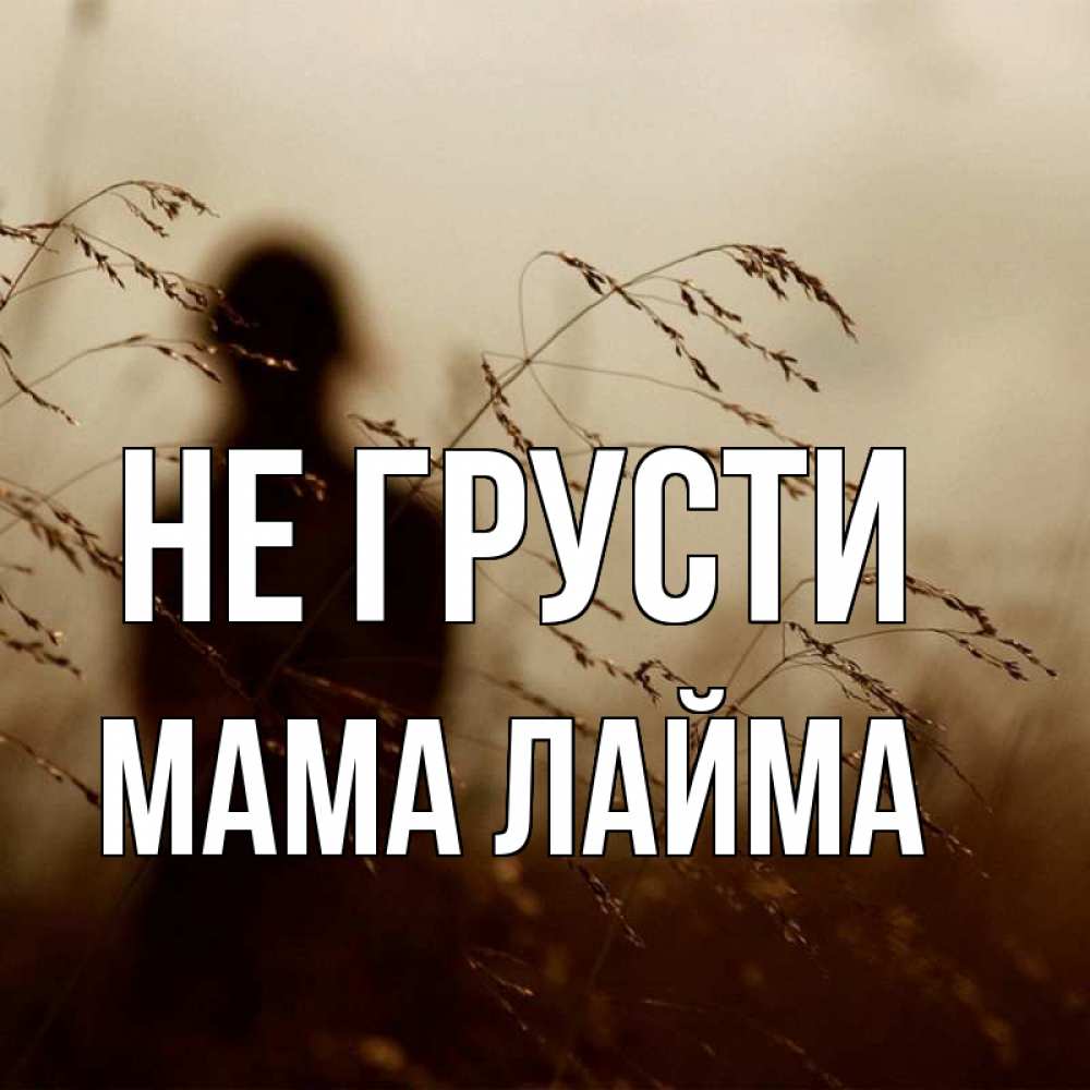 Открытка на каждый день с именем, Мама-Лайма Не грусти грусть Прикольная открытка с пожеланием онлайн скачать бесплатно 