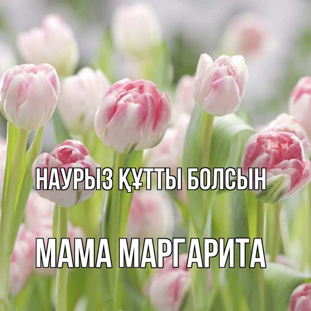Открытка на каждый день с именем, Мама-Маргарита Наурыз құтты болсын цветы Прикольная открытка с пожеланием онлайн скачать бесплатно 