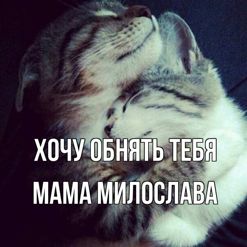 Открытка на каждый день с именем, Мама-Милослава Хочу обнять тебя полосатики Прикольная открытка с пожеланием онлайн скачать бесплатно 