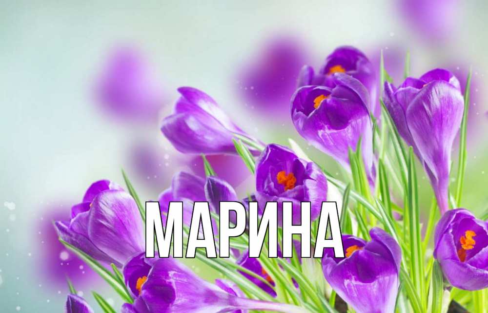 Открытка на каждый день с именем, Марина Главная 1 мая Прикольная открытка с пожеланием онлайн скачать бесплатно 