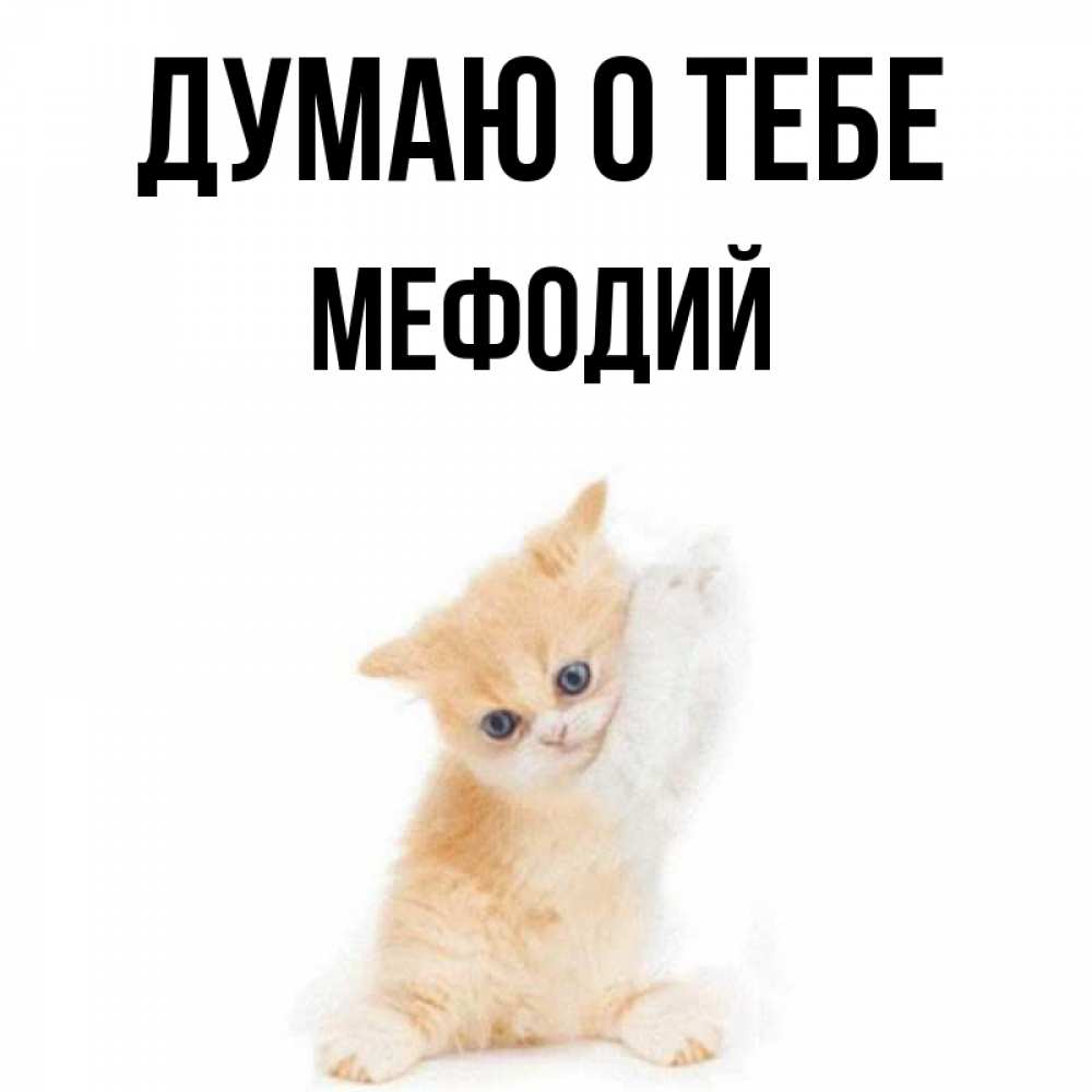 Открытка на каждый день с именем, Мефодий Думаю о тебе зверушки и милота Прикольная открытка с пожеланием онлайн скачать бесплатно 