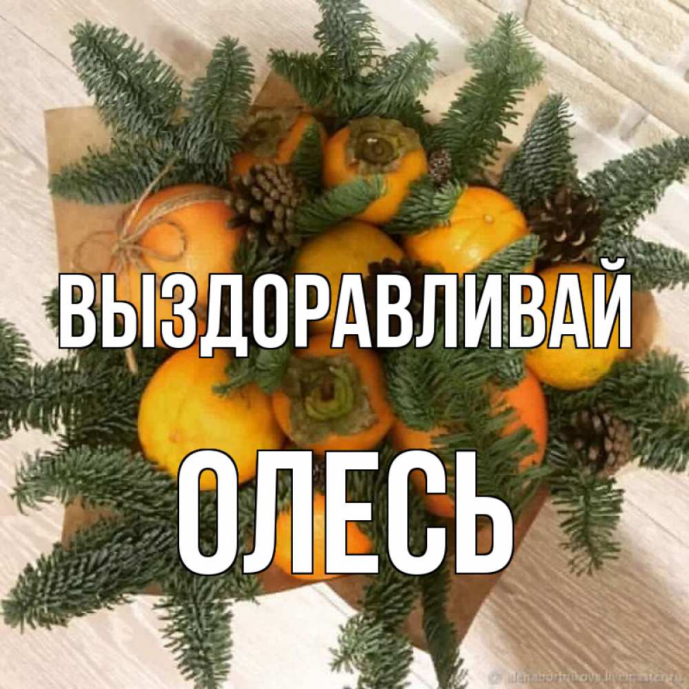 Открытка на каждый день с именем, Олесь Выздоравливай апельсины и хурьма Прикольная открытка с пожеланием онлайн скачать бесплатно 