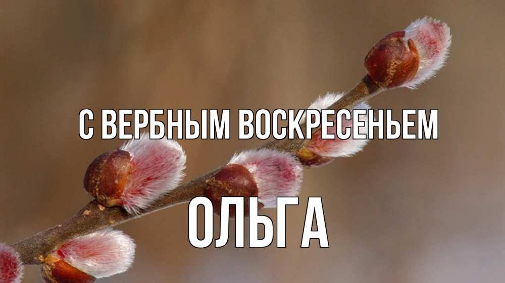 Открытка на каждый день с именем, Ольга С вербным воскресеньем верба Прикольная открытка с пожеланием онлайн скачать бесплатно 