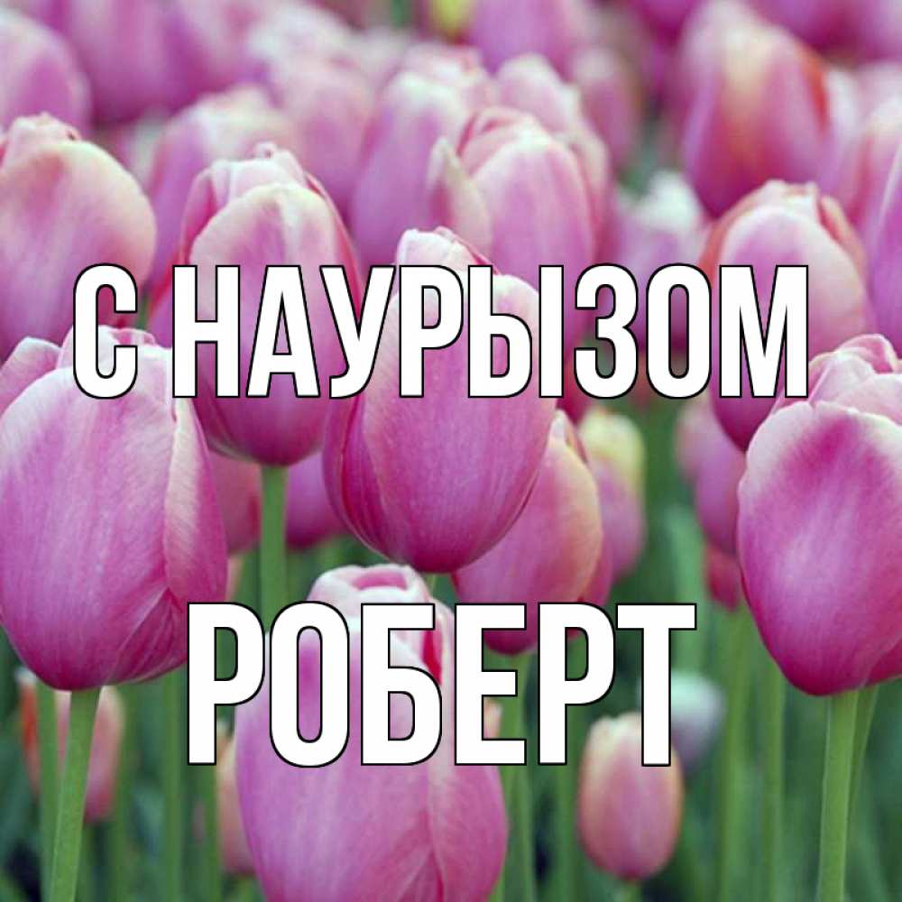 Открытка на каждый день с именем, Роберт С наурызом праздник весны наурыз 69 Прикольная открытка с пожеланием онлайн скачать бесплатно 