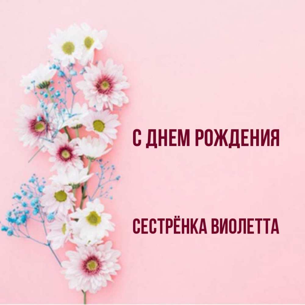 Открытка на каждый день с именем, Сестрёнка-Виолетта С днем рождения Родная моя с днем рождения тебя картинка с цветами белыми и голубыми Прикольная открытка с пожеланием онлайн скачать бесплатно 