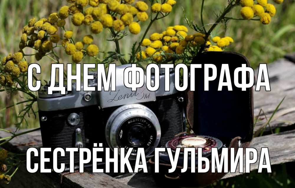 Открытка на каждый день с именем, Сестрёнка-Гульмира С днем фотографа с днем фотографа Прикольная открытка с пожеланием онлайн скачать бесплатно 