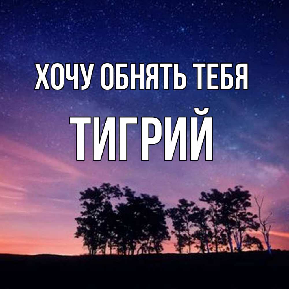 Открытка на каждый день с именем, Тигрий Хочу обнять тебя силуэты деревьев Прикольная открытка с пожеланием онлайн скачать бесплатно 