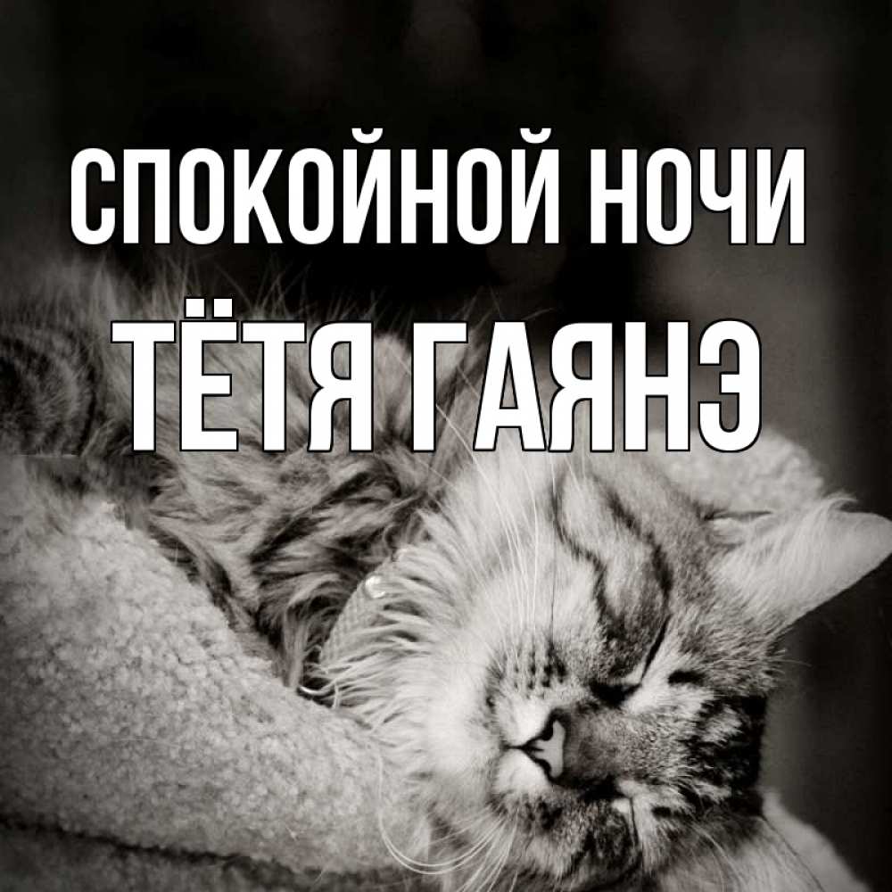 Открытка на каждый день с именем, Тётя-Гаянэ Спокойной ночи котярик пушистый Прикольная открытка с пожеланием онлайн скачать бесплатно 