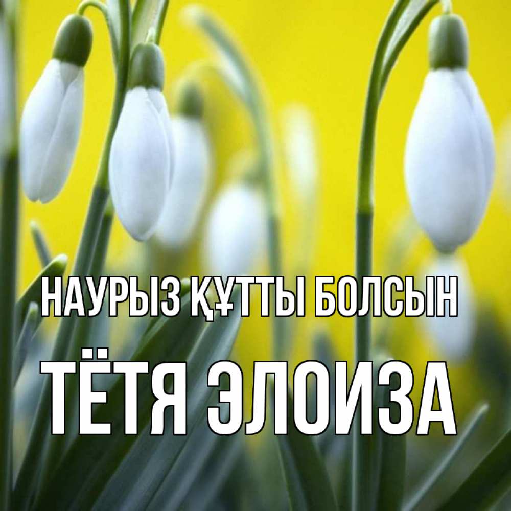 Открытка на каждый день с именем, Тётя-Элоиза Наурыз құтты болсын весенние цветы Прикольная открытка с пожеланием онлайн скачать бесплатно 