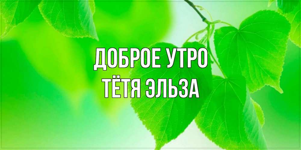 Открытка на каждый день с именем, Тётя-Эльза Доброе утро доброе утро с березовыми листьями Прикольная открытка с пожеланием онлайн скачать бесплатно 