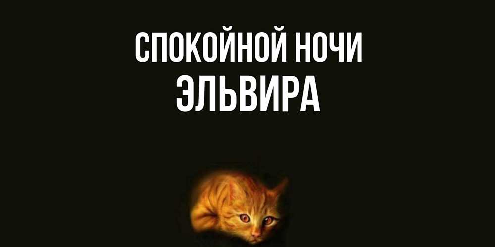 Открытка на каждый день с именем, Эльвира Спокойной ночи кот Прикольная открытка с пожеланием онлайн скачать бесплатно 