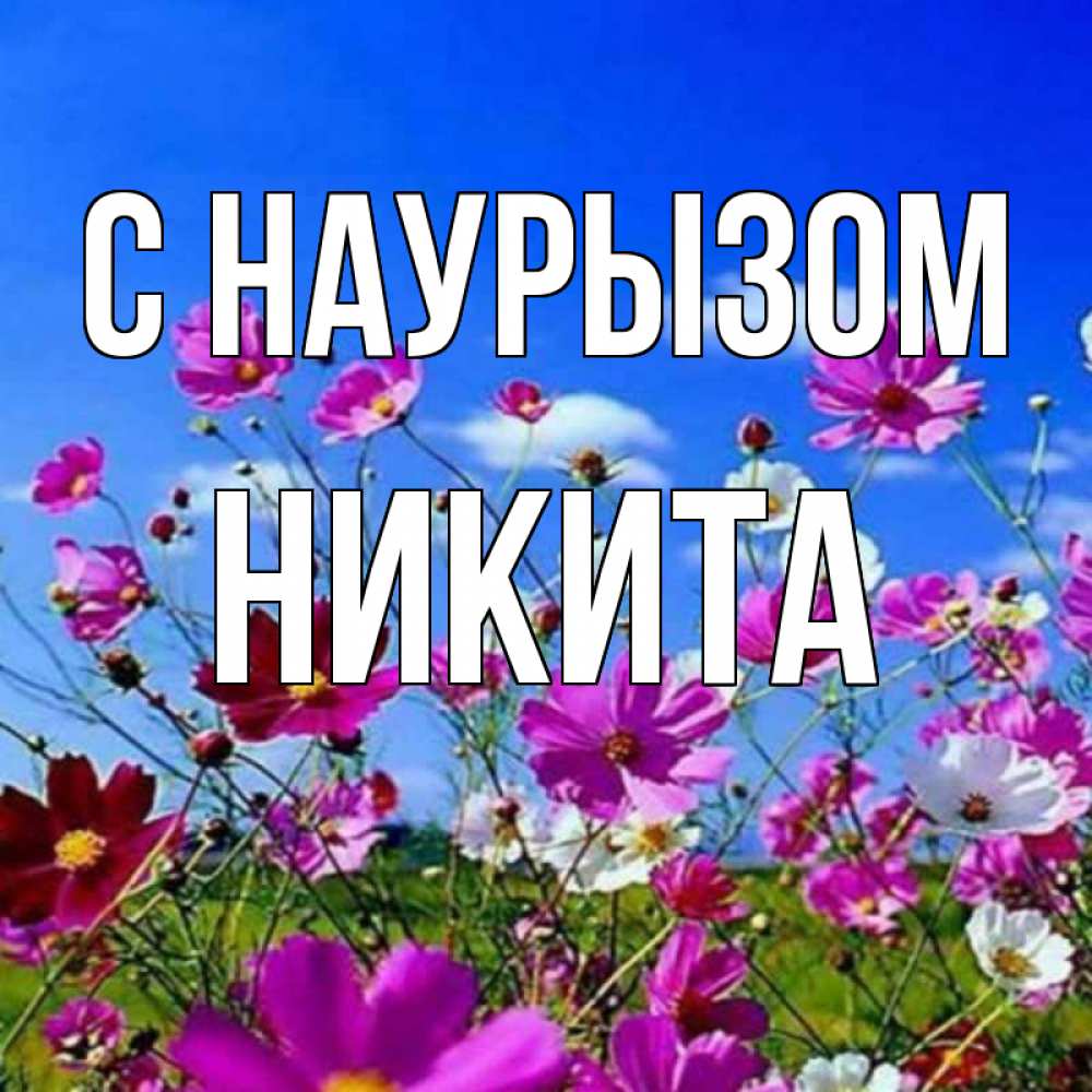Открытка на каждый день с именем, Никита С наурызом цветы Прикольная открытка с пожеланием онлайн скачать бесплатно 