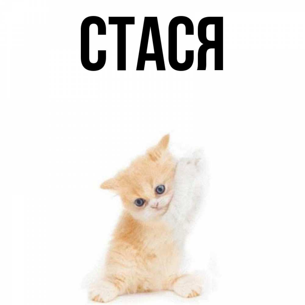 Стася имя