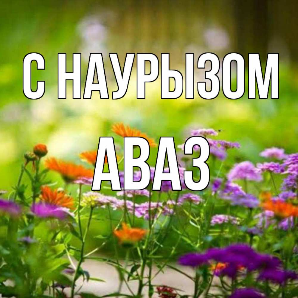 Открытка на каждый день с именем, Аваз С наурызом цветы Прикольная открытка с пожеланием онлайн скачать бесплатно 
