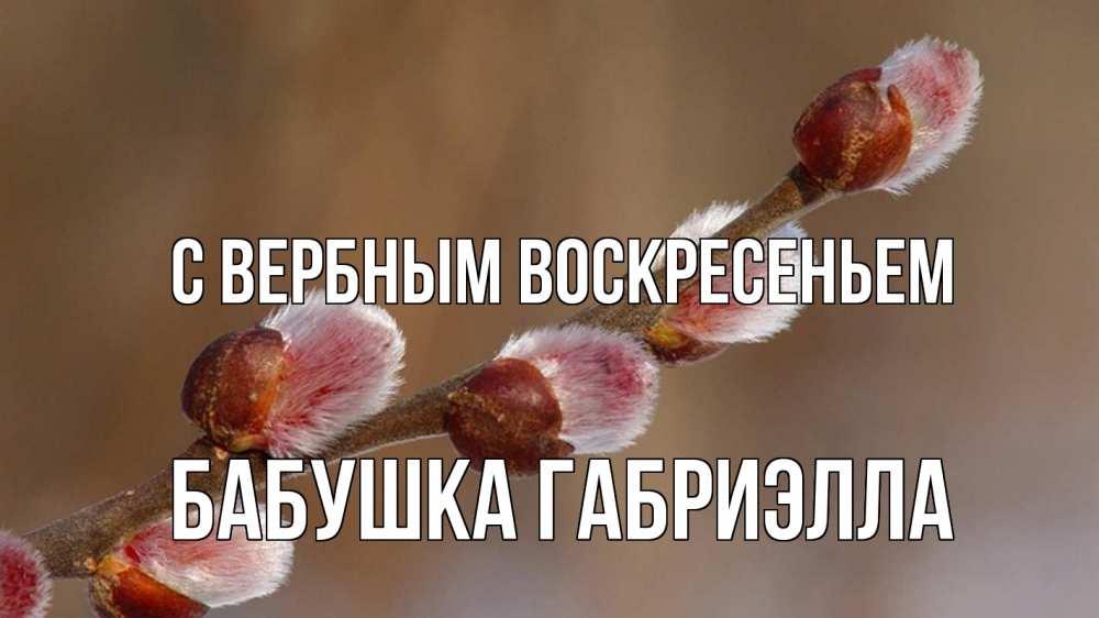 Открытка на каждый день с именем, Бабушка-Габриэлла С вербным воскресеньем верба Прикольная открытка с пожеланием онлайн скачать бесплатно 