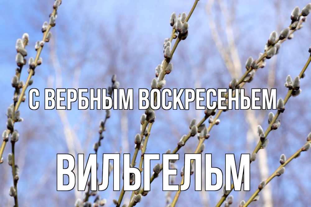 Открытка на каждый день с именем, Вильгельм С вербным воскресеньем верба Прикольная открытка с пожеланием онлайн скачать бесплатно 
