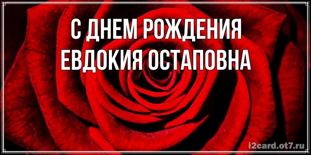 Открытка на каждый день с именем, Евдокия-Остаповна С днем рождения алая роза Прикольная открытка с пожеланием онлайн скачать бесплатно 