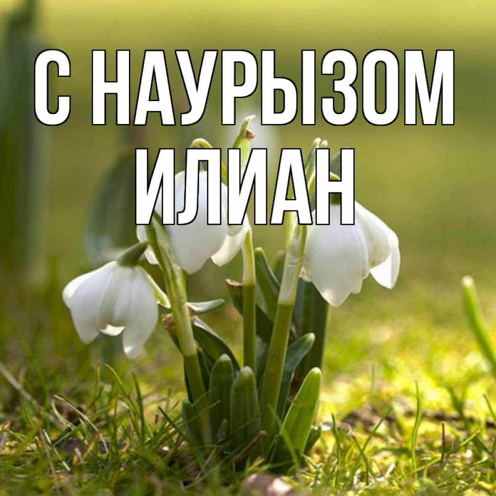 Открытка на каждый день с именем, Илиан С наурызом ранние цветы 2 Прикольная открытка с пожеланием онлайн скачать бесплатно 