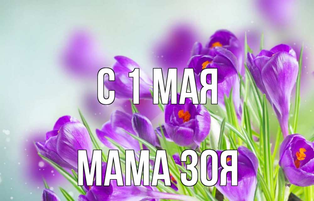 Открытка на каждый день с именем, Мама-Зоя С 1 мая 1 мая Прикольная открытка с пожеланием онлайн скачать бесплатно 