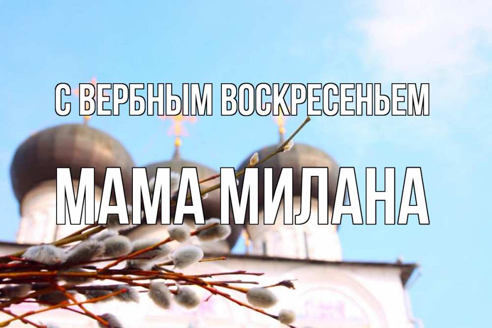 Открытка на каждый день с именем, Мама-Милана С вербным воскресеньем верба Прикольная открытка с пожеланием онлайн скачать бесплатно 