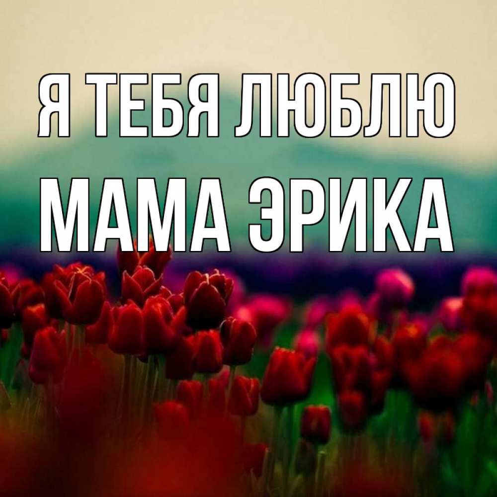 Открытка на каждый день с именем, Мама-Эрика Я тебя люблю тюльпаны 4 Прикольная открытка с пожеланием онлайн скачать бесплатно 