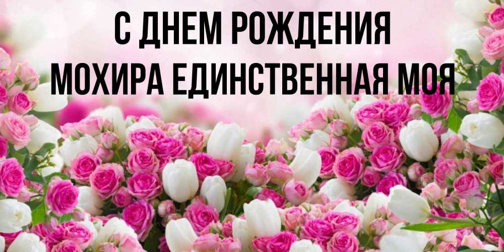 Открытка на каждый день с именем, Мохира-единственная-моя С днем рождения открытка с разными розами Прикольная открытка с пожеланием онлайн скачать бесплатно 