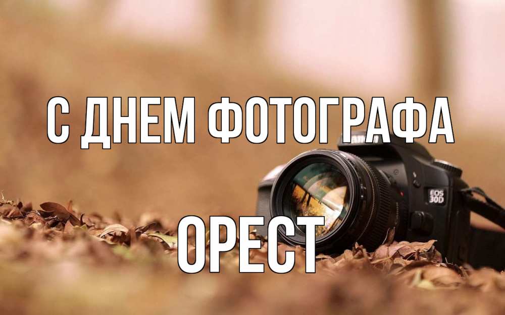 Открытка на каждый день с именем, Орест С днем фотографа с днем фотографа Прикольная открытка с пожеланием онлайн скачать бесплатно 