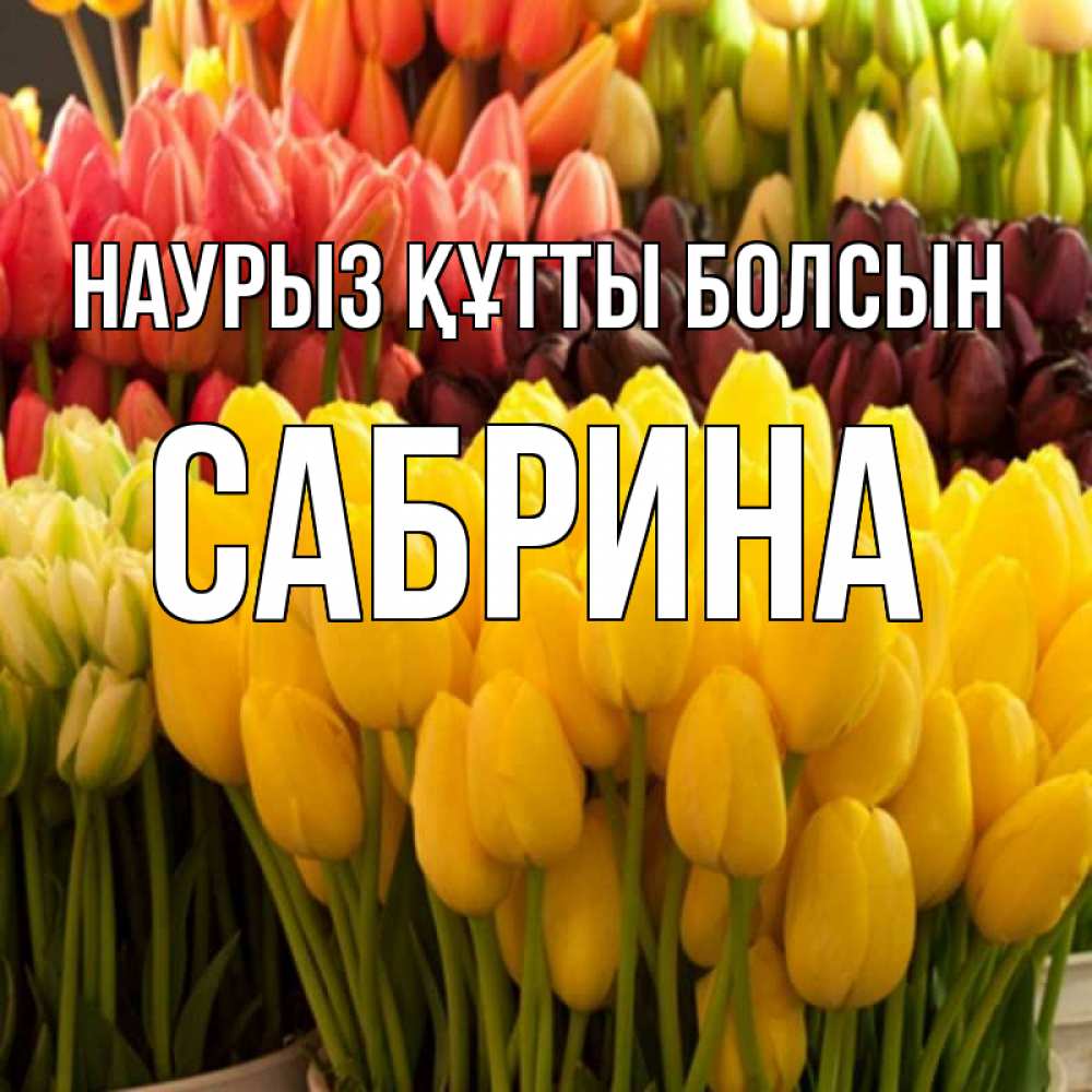 Открытка на каждый день с именем, Сабрина Наурыз құтты болсын цветы Прикольная открытка с пожеланием онлайн скачать бесплатно 