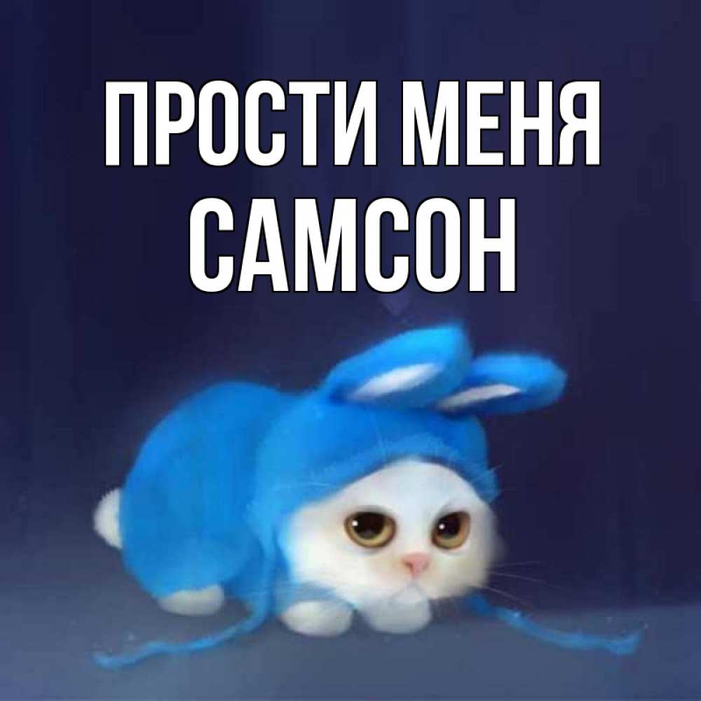 Открытка на каждый день с именем, Самсон Прости меня невинный котозай просит прощения Прикольная открытка с пожеланием онлайн скачать бесплатно 