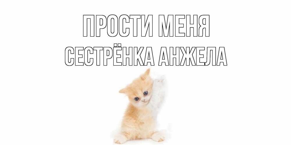 Открытка на каждый день с именем, Сестрёнка-Анжела Прости меня кот Прикольная открытка с пожеланием онлайн скачать бесплатно 
