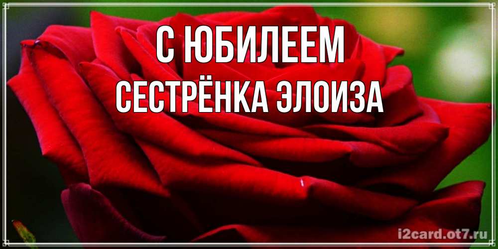 Открытка на каждый день с именем, Сестрёнка-Элоиза С юбилеем розочка очень красивая Прикольная открытка с пожеланием онлайн скачать бесплатно 