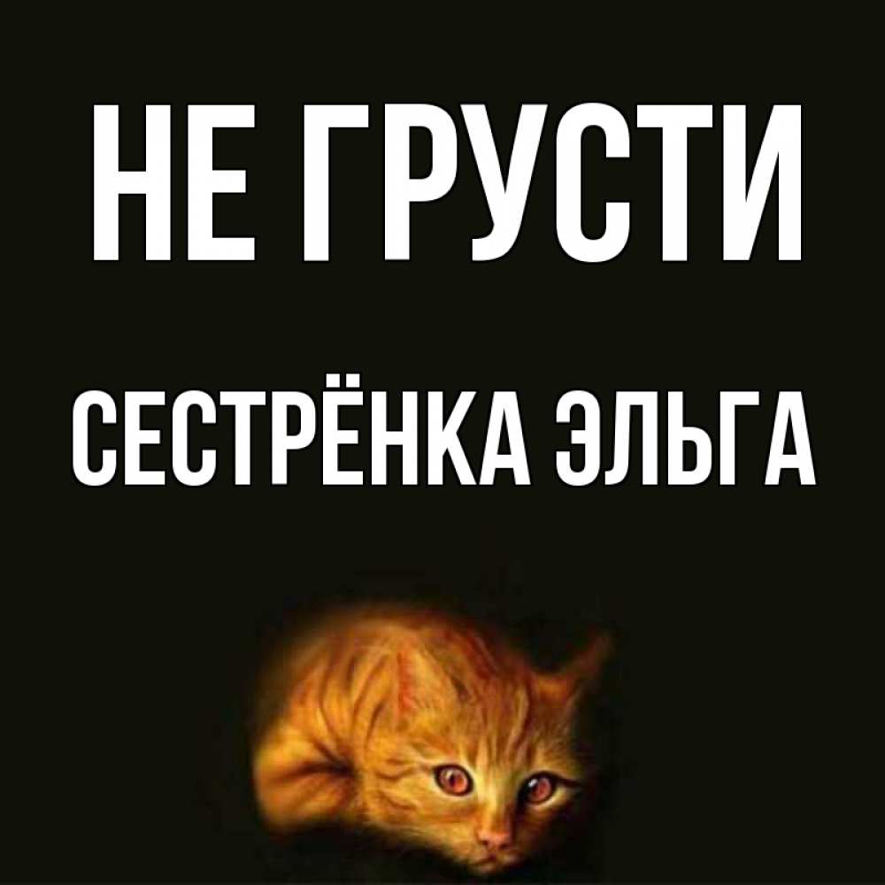 Открытка на каждый день с именем, Сестрёнка-Эльга Не грусти лежащий кот в темноте Прикольная открытка с пожеланием онлайн скачать бесплатно 