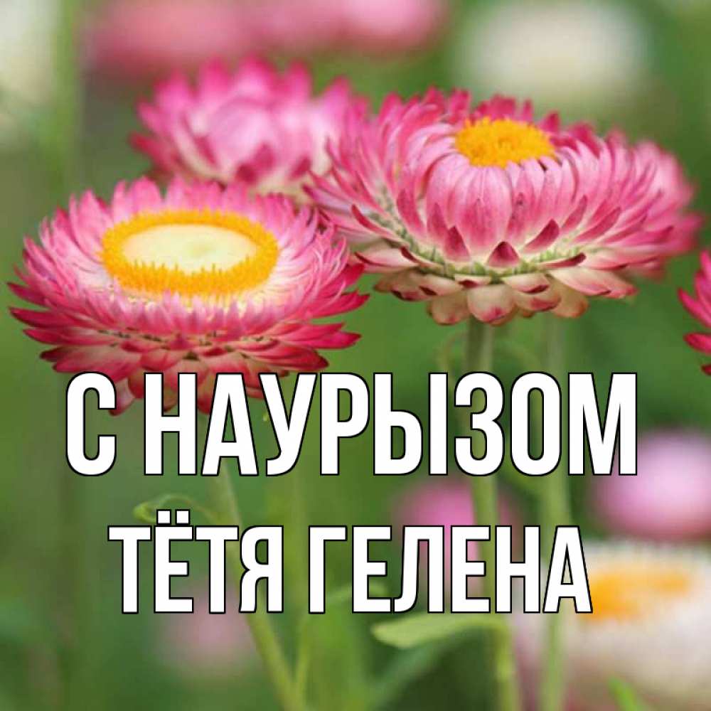 Открытка на каждый день с именем, Тётя-Гелена С наурызом подарок на международный женский день Прикольная открытка с пожеланием онлайн скачать бесплатно 