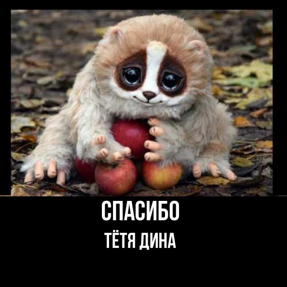 Открытка на каждый день с именем, Тётя-Дина Спасибо прикольное животное Прикольная открытка с пожеланием онлайн скачать бесплатно 