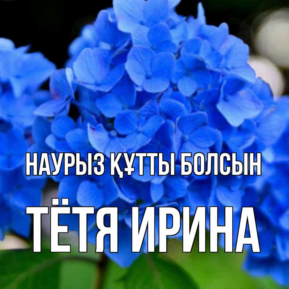 Открытка на каждый день с именем, Тётя-Ирина Наурыз құтты болсын синие цветы Прикольная открытка с пожеланием онлайн скачать бесплатно 