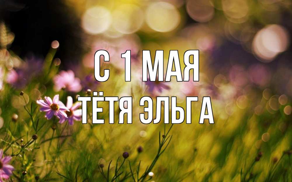 Открытка на каждый день с именем, Тётя-Эльга С 1 мая С 1 мая Прикольная открытка с пожеланием онлайн скачать бесплатно 
