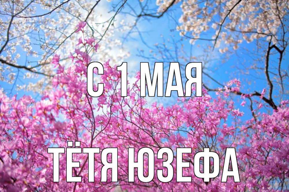 Открытка на каждый день с именем, Тётя-Юзефа С 1 мая С 1 мая Прикольная открытка с пожеланием онлайн скачать бесплатно 