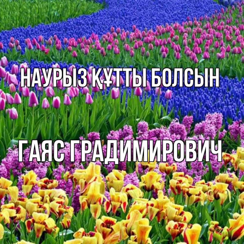 Картинка Наурыз құтты болсын, Гаяс Градимирович
