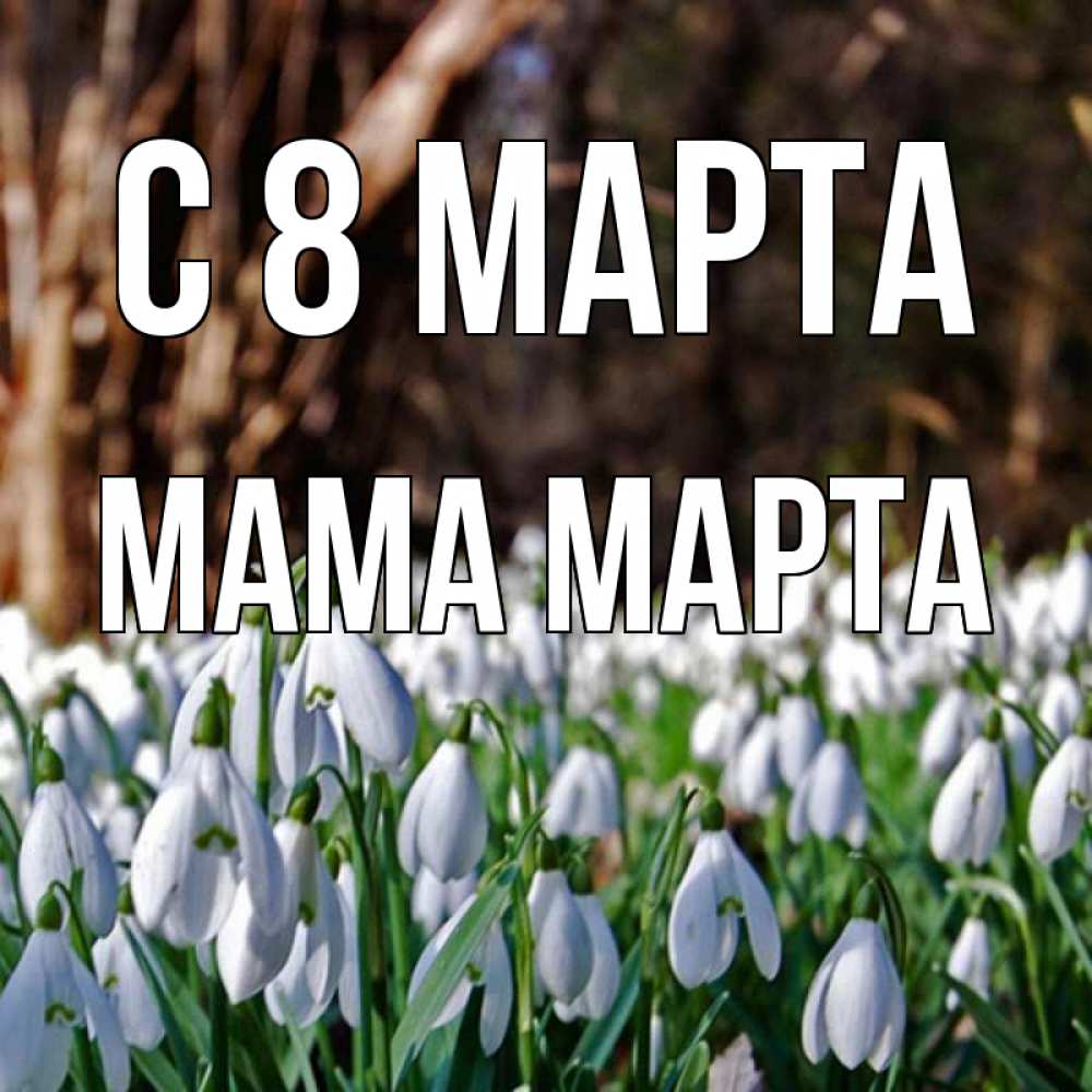 Открытка на каждый день с именем, Мама-Марта С 8 марта с подснежниками 1 Прикольная открытка с пожеланием онлайн скачать бесплатно 