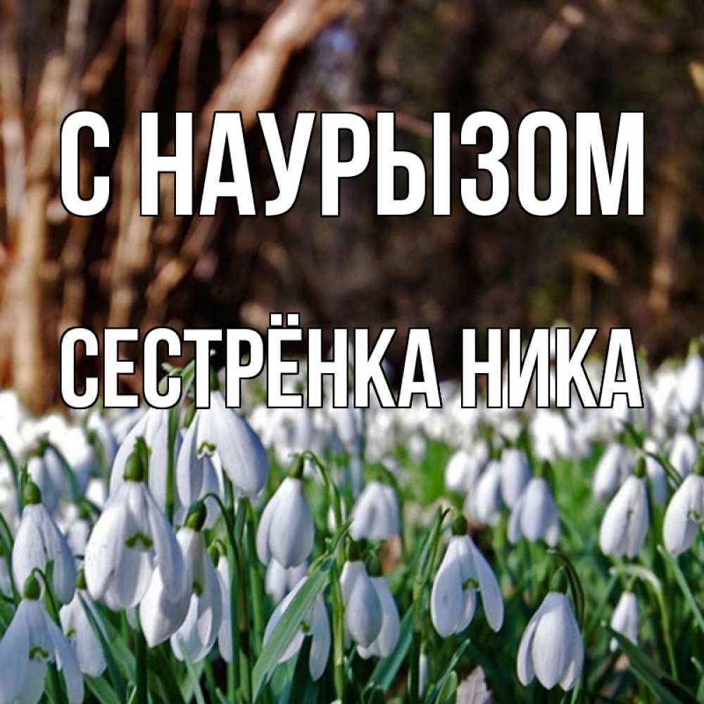 Открытка на каждый день с именем, Сестрёнка-Ника С наурызом с подснежниками 1 Прикольная открытка с пожеланием онлайн скачать бесплатно 