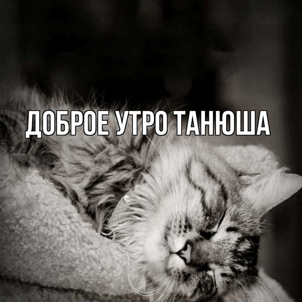 Открытка доброе утро танюша. Доброе утро Танюша. Открытки доброе утро Танюша. С добрым утром Танечка картинки. С добрым утром Танечка картинки прикольные.