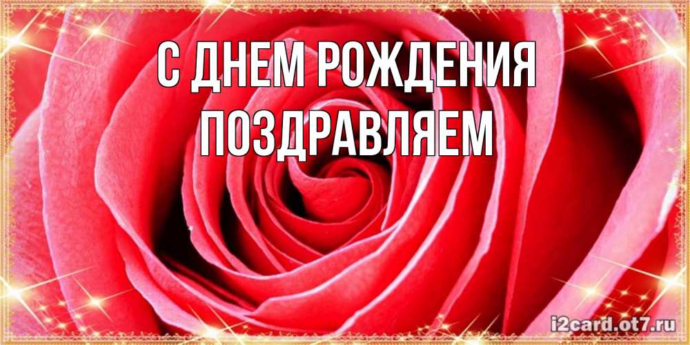 Открытка на каждый день с именем, Поздравляем С днем рождения розовая роза очень крупный бутон Прикольная открытка с пожеланием онлайн скачать бесплатно 