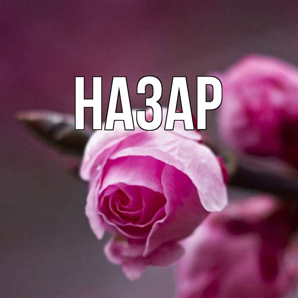 Открытка на каждый день с именем, Назар Главная весна Прикольная открытка с пожеланием онлайн скачать бесплатно 