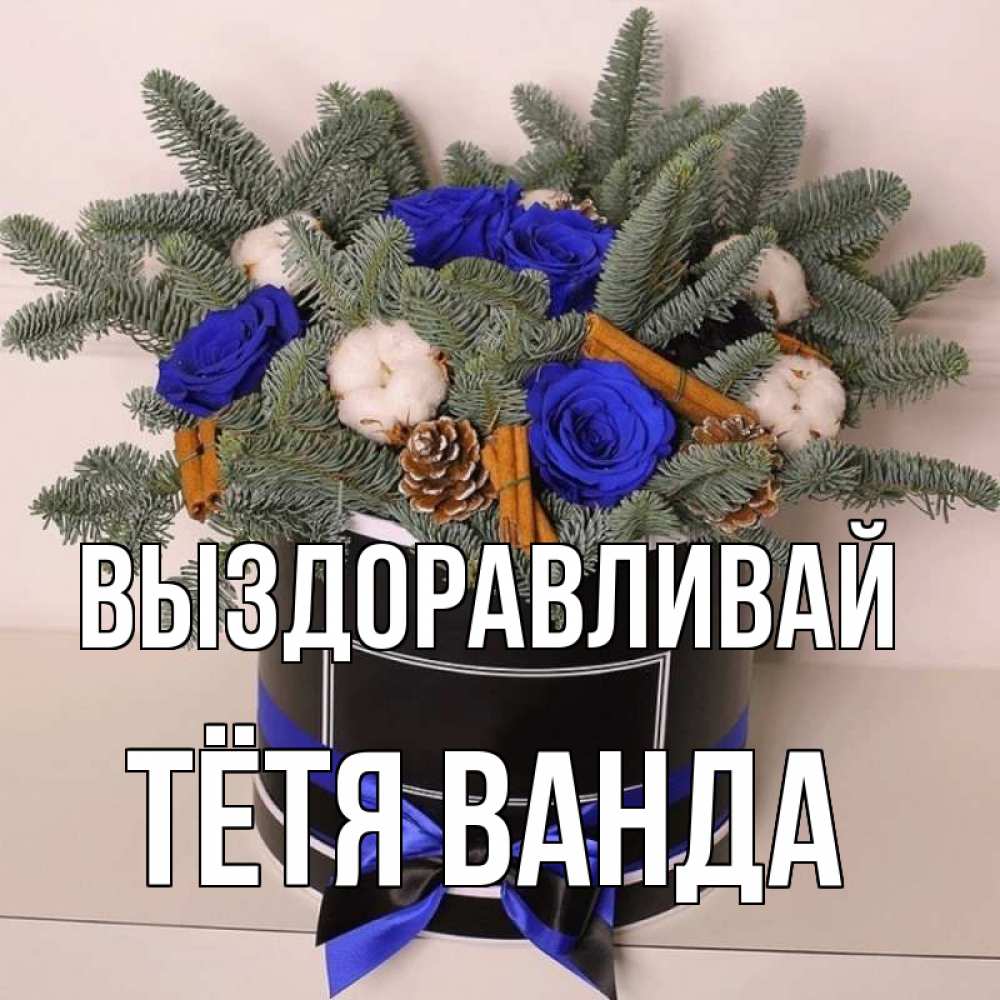 Открытка на каждый день с именем, Тётя-Ванда Выздоравливай короче кто то загрузил эти шишки Прикольная открытка с пожеланием онлайн скачать бесплатно 