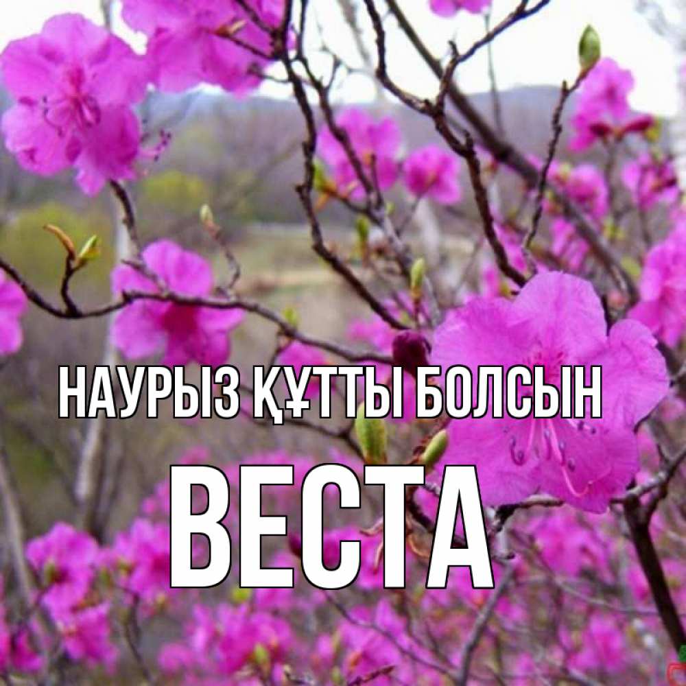 Открытка на каждый день с именем, Веста Наурыз құтты болсын наурыз мейрамы кутты болсын Прикольная открытка с пожеланием онлайн скачать бесплатно 