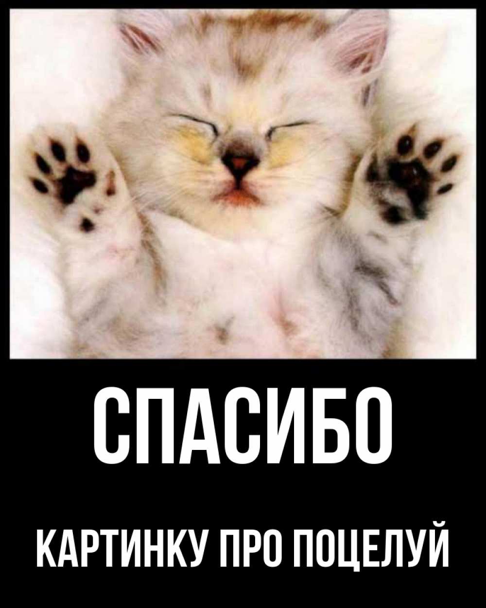 Открытка на каждый день с именем, картинку-про-поцелуй Спасибо маленький котенок Прикольная открытка с пожеланием онлайн скачать бесплатно 